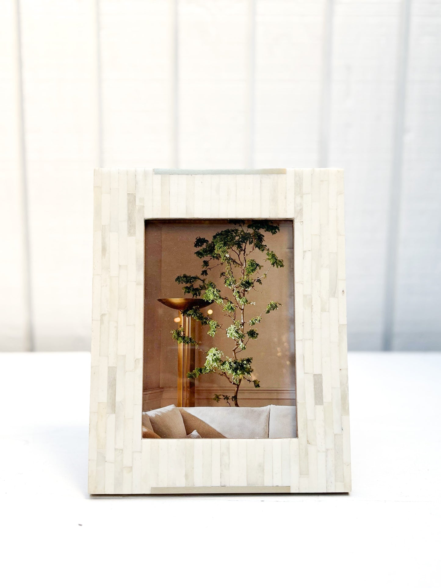 Bone+Brass Picture Frame