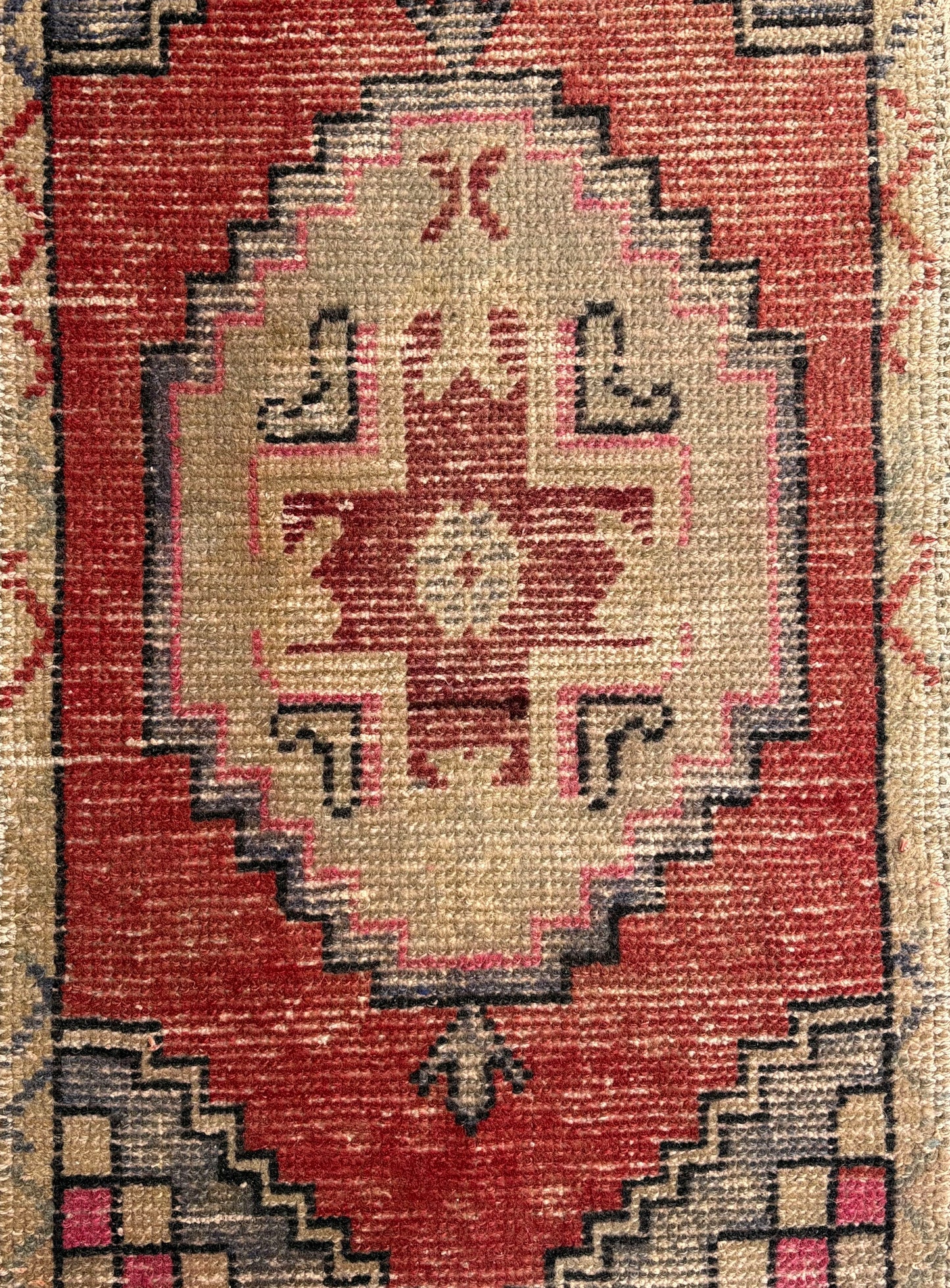 Francesca Vintage Area Rug