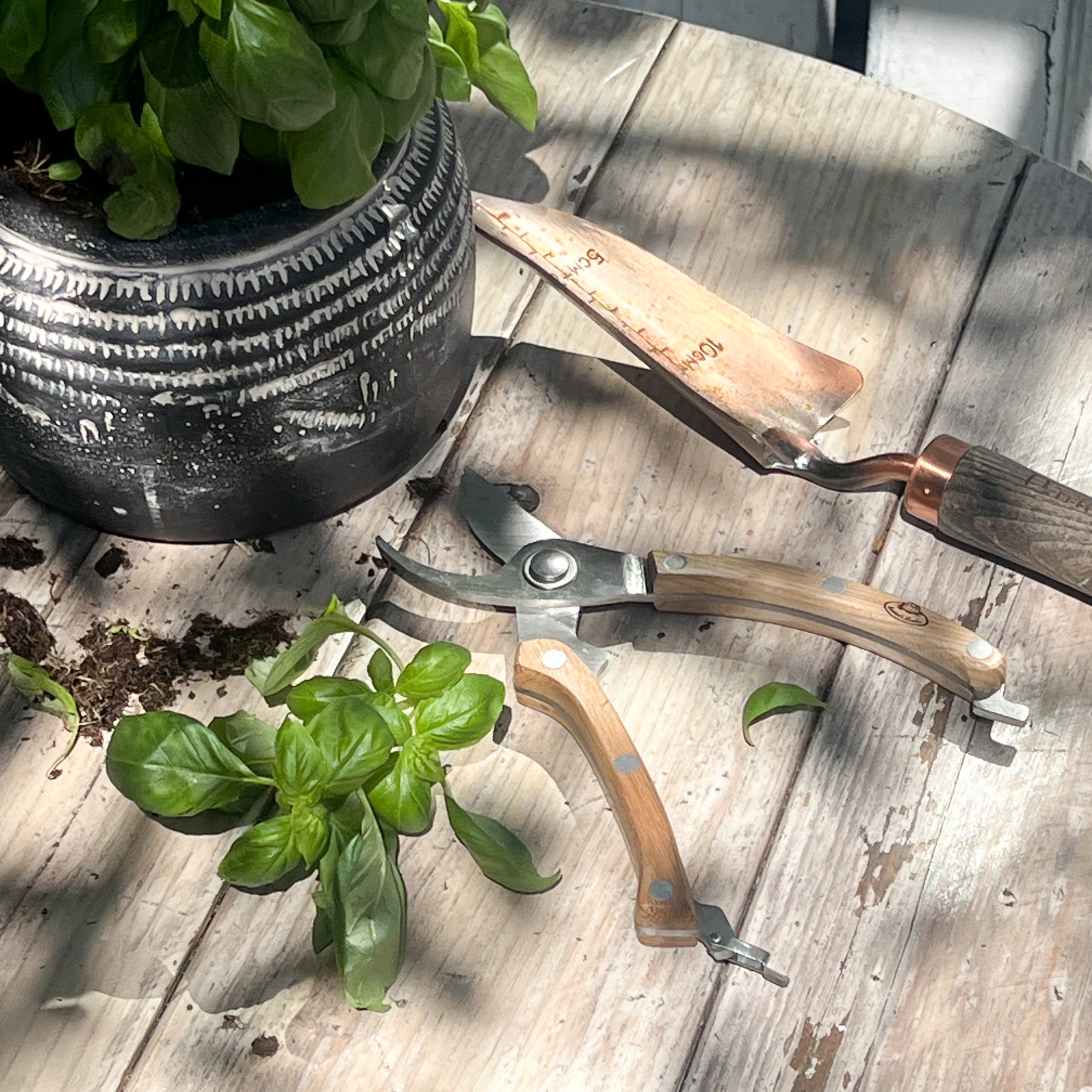 Pruning Gift Set