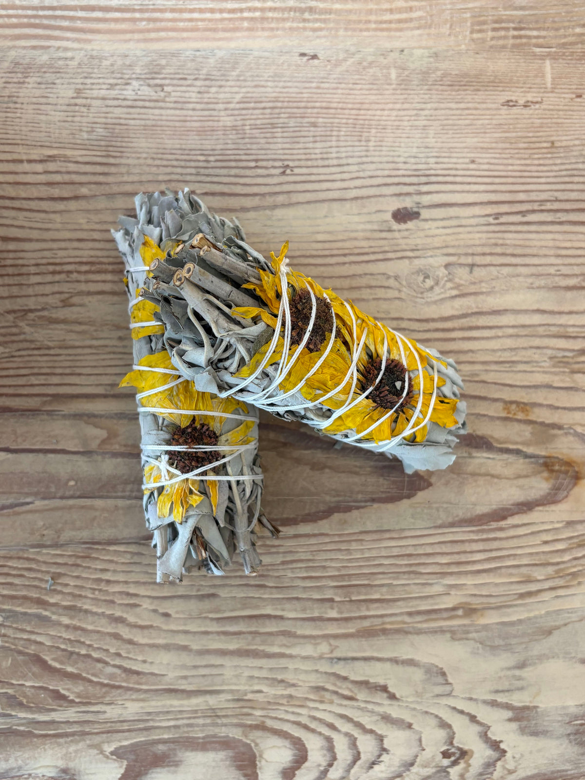 Sunflower Sage Bundle