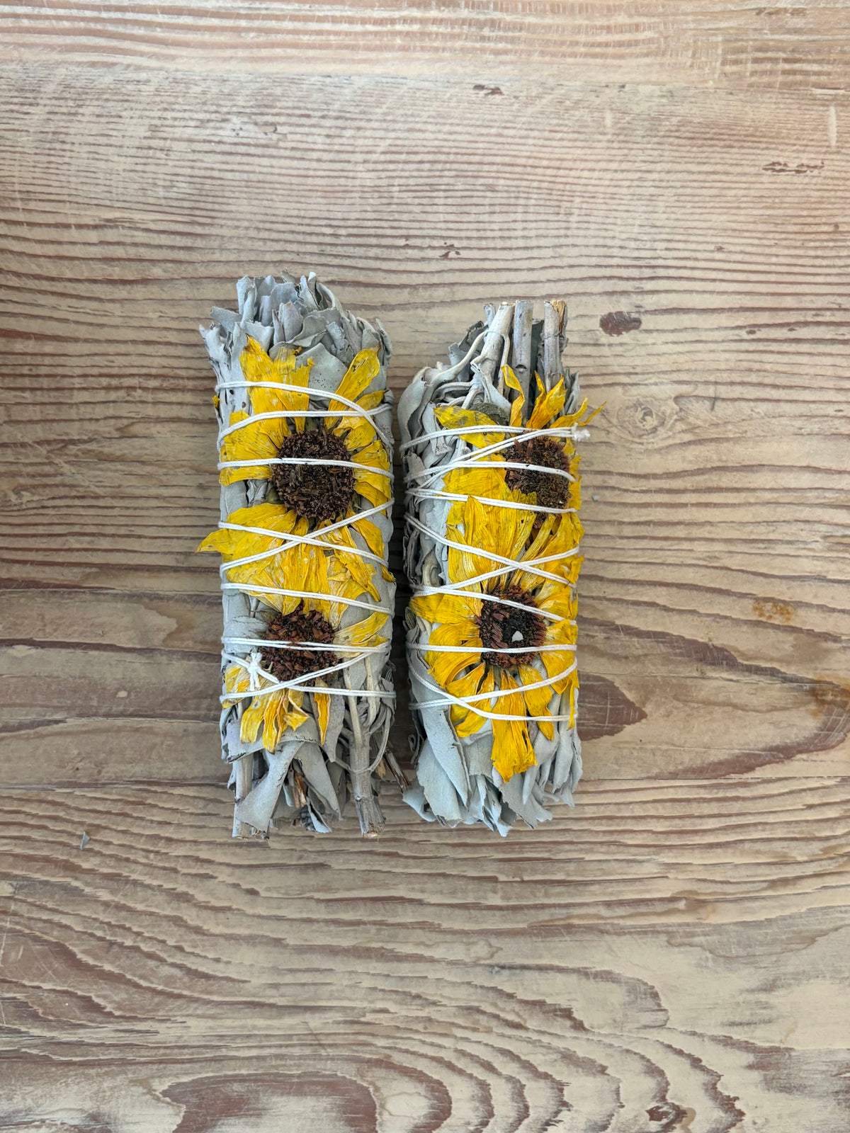 Sunflower Sage Bundle