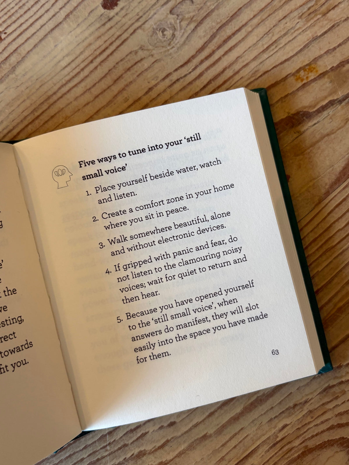 Little Book of Manifesting