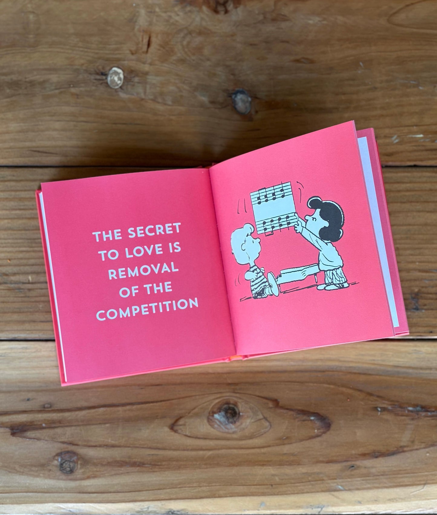 The Peanuts Guide To Love