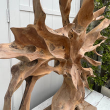 Load image into Gallery viewer, large abstract carved wooden sculpture, somewhat of a resemblance to a bare tree, black base