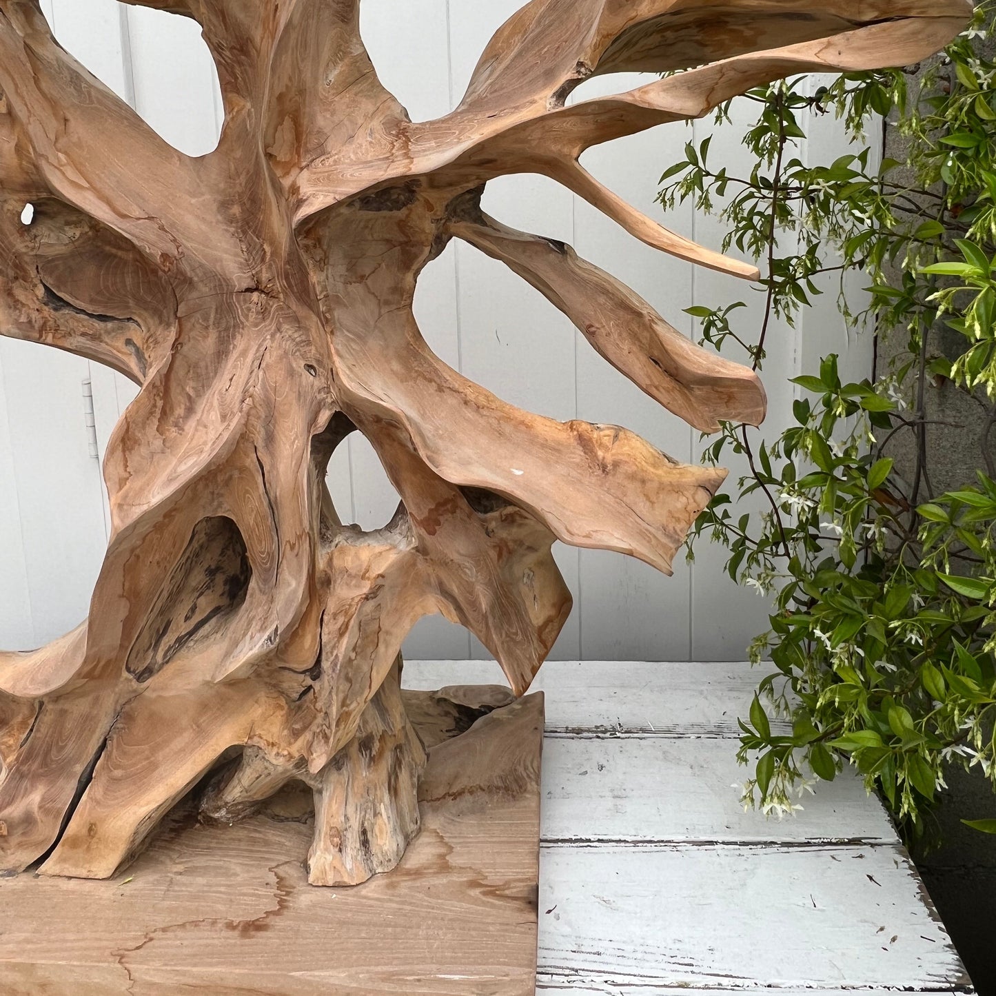 large abstract carved wooden sculpture, somewhat of a resemblance to a bare tree, black base