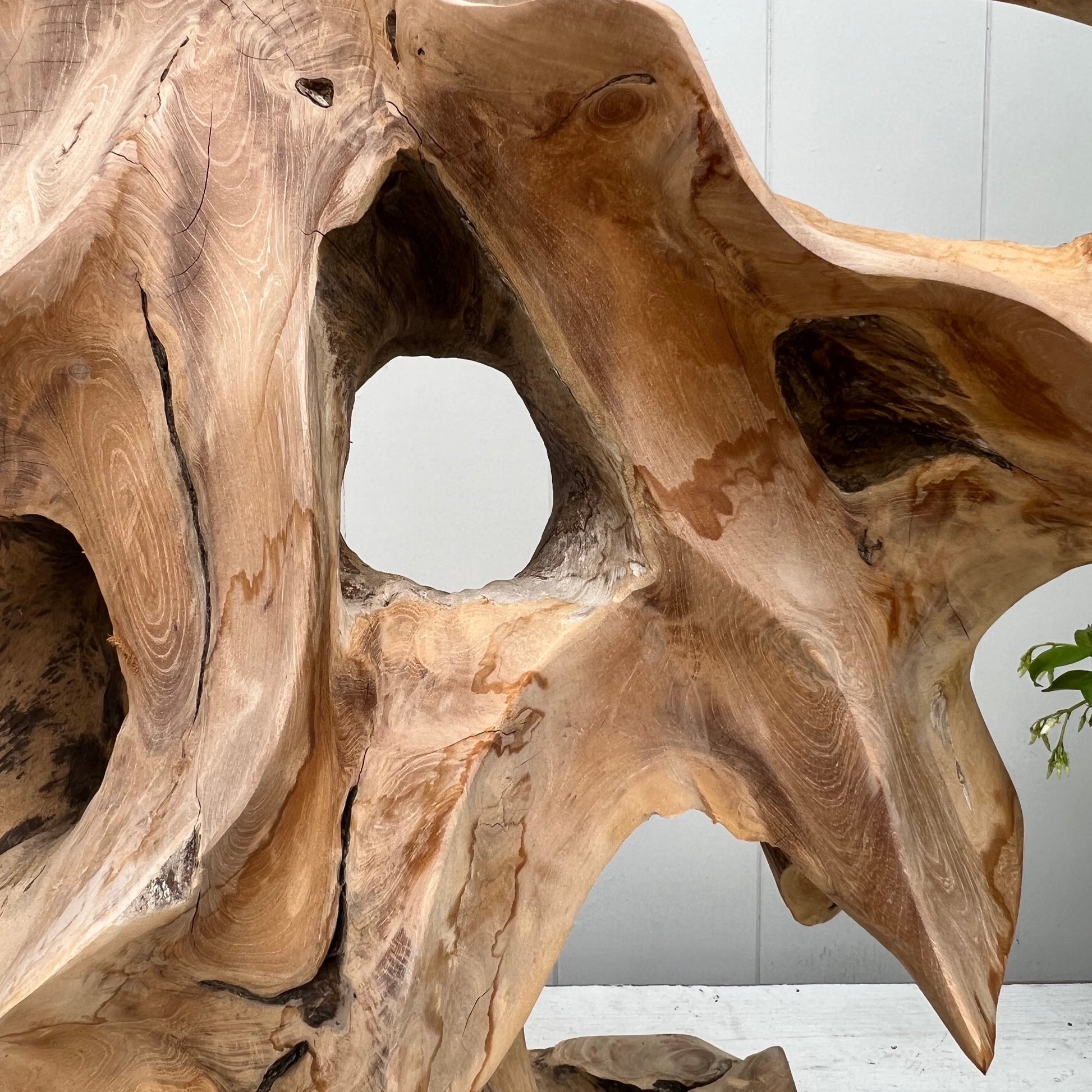 large abstract carved wooden sculpture, somewhat of a resemblance to a bare tree, black base