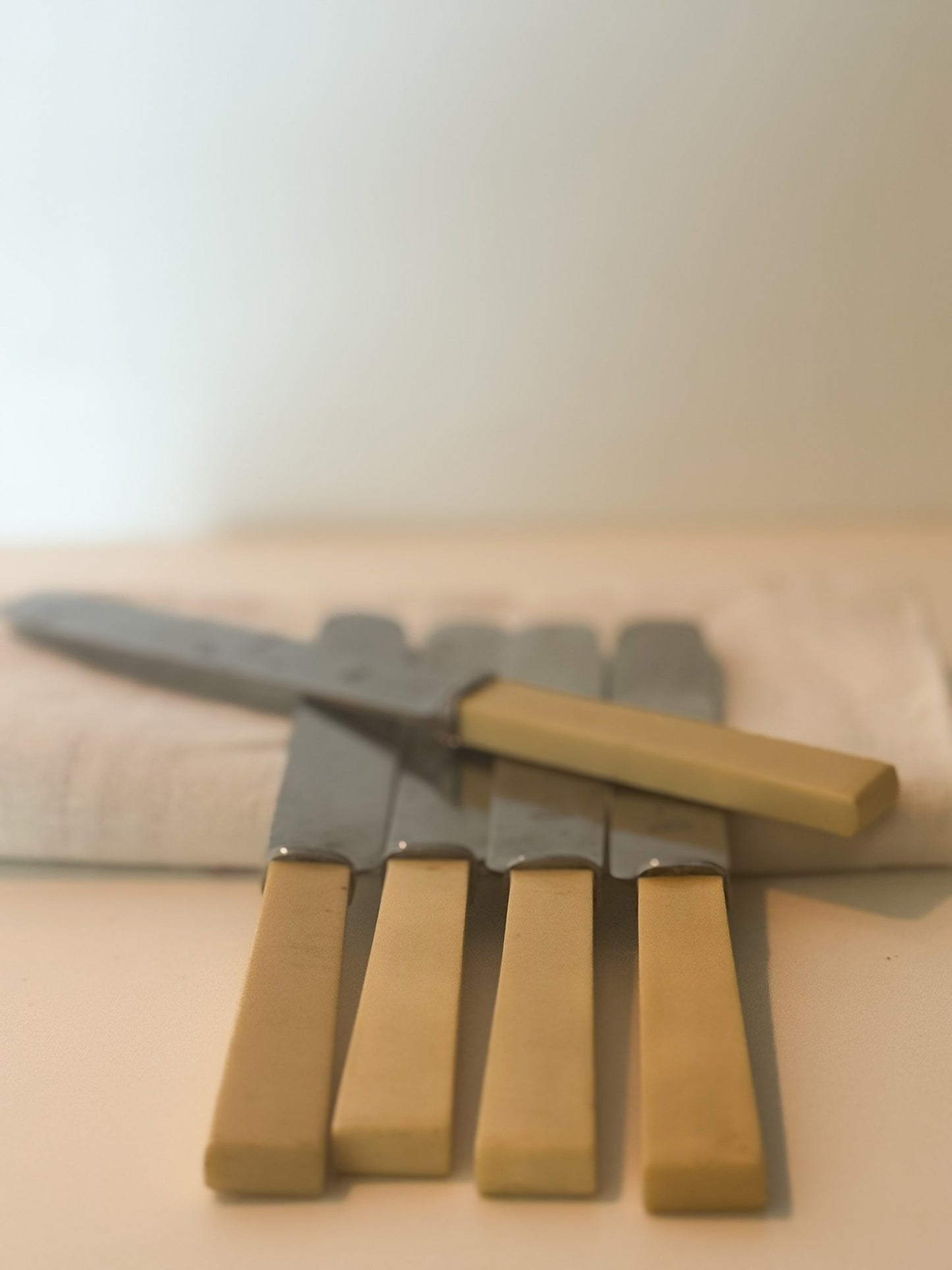 English Stainless Knife Set