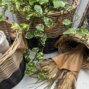 Black & Natural Willow Nesting Baskets