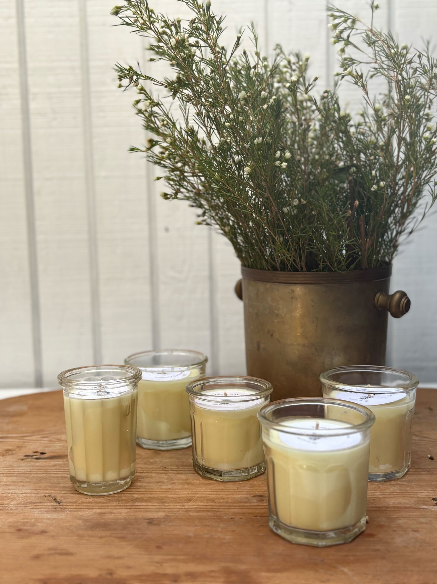 Set of six glass candles on a wooden table with a potted plant in the background.