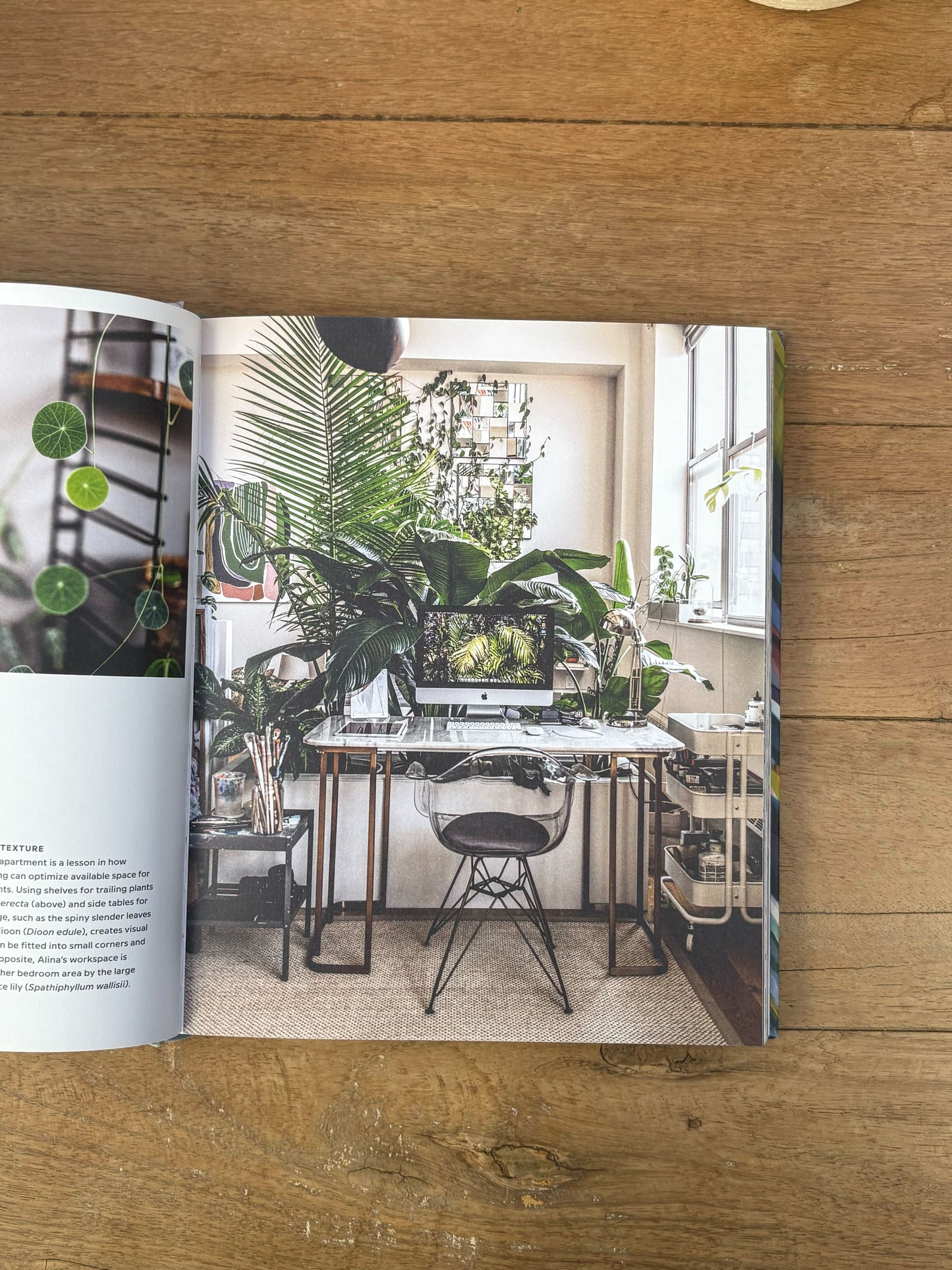 Wild Interiors