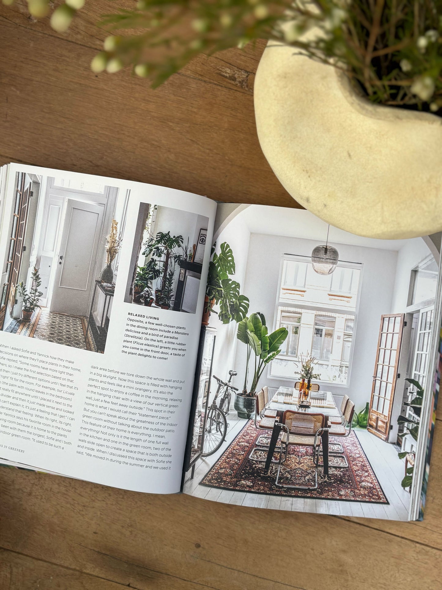 Wild Interiors
