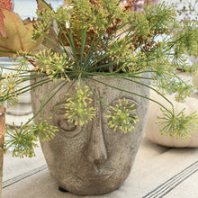 Load image into Gallery viewer, The Picasso Planter