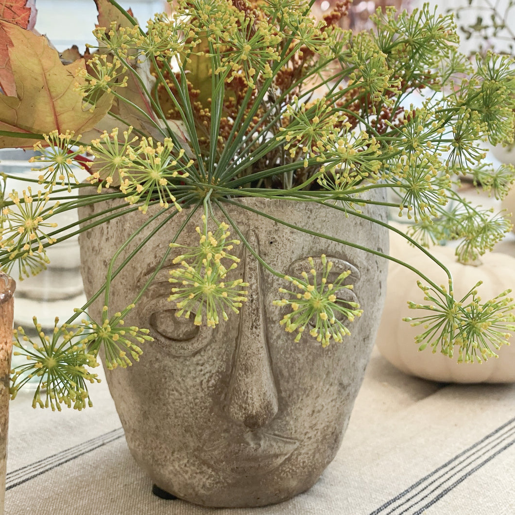 The Picasso Planter