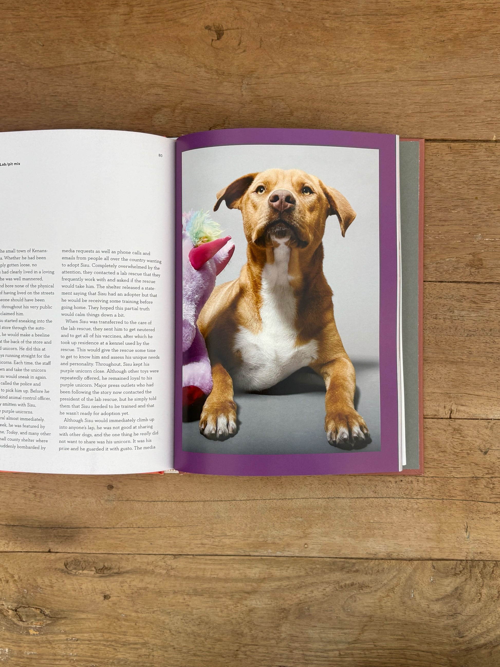 Open book on a wooden surface with a dog image on one page