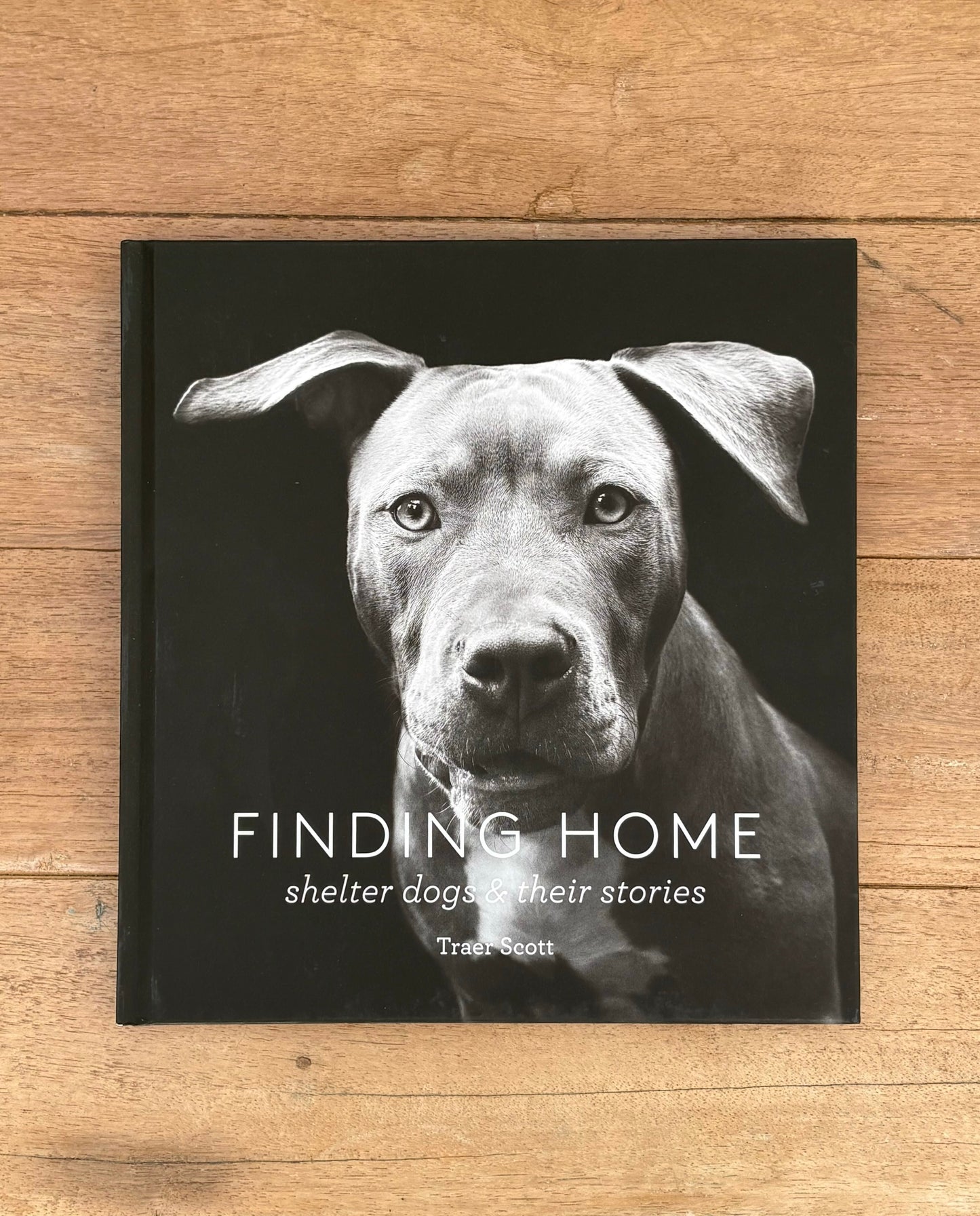 Book titled 'Finding Home: Shelter Dogs & Their Stories' on a wooden surface