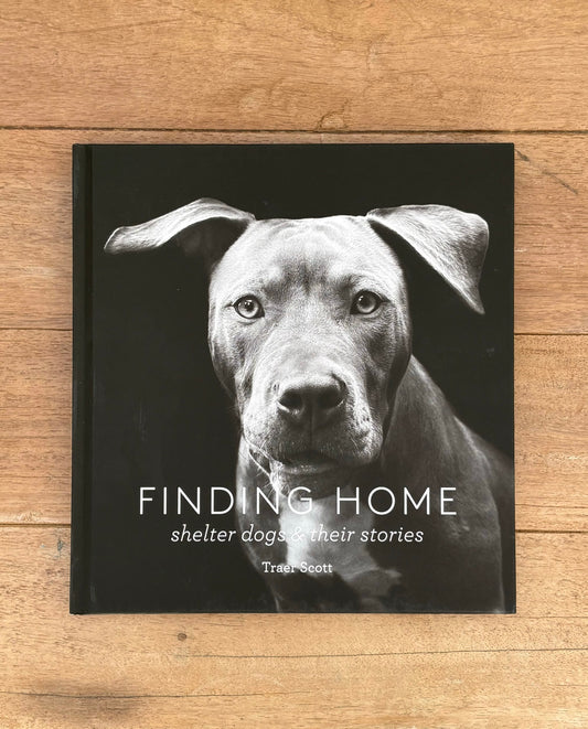 Book titled 'Finding Home: Shelter Dogs & Their Stories' on a wooden surface