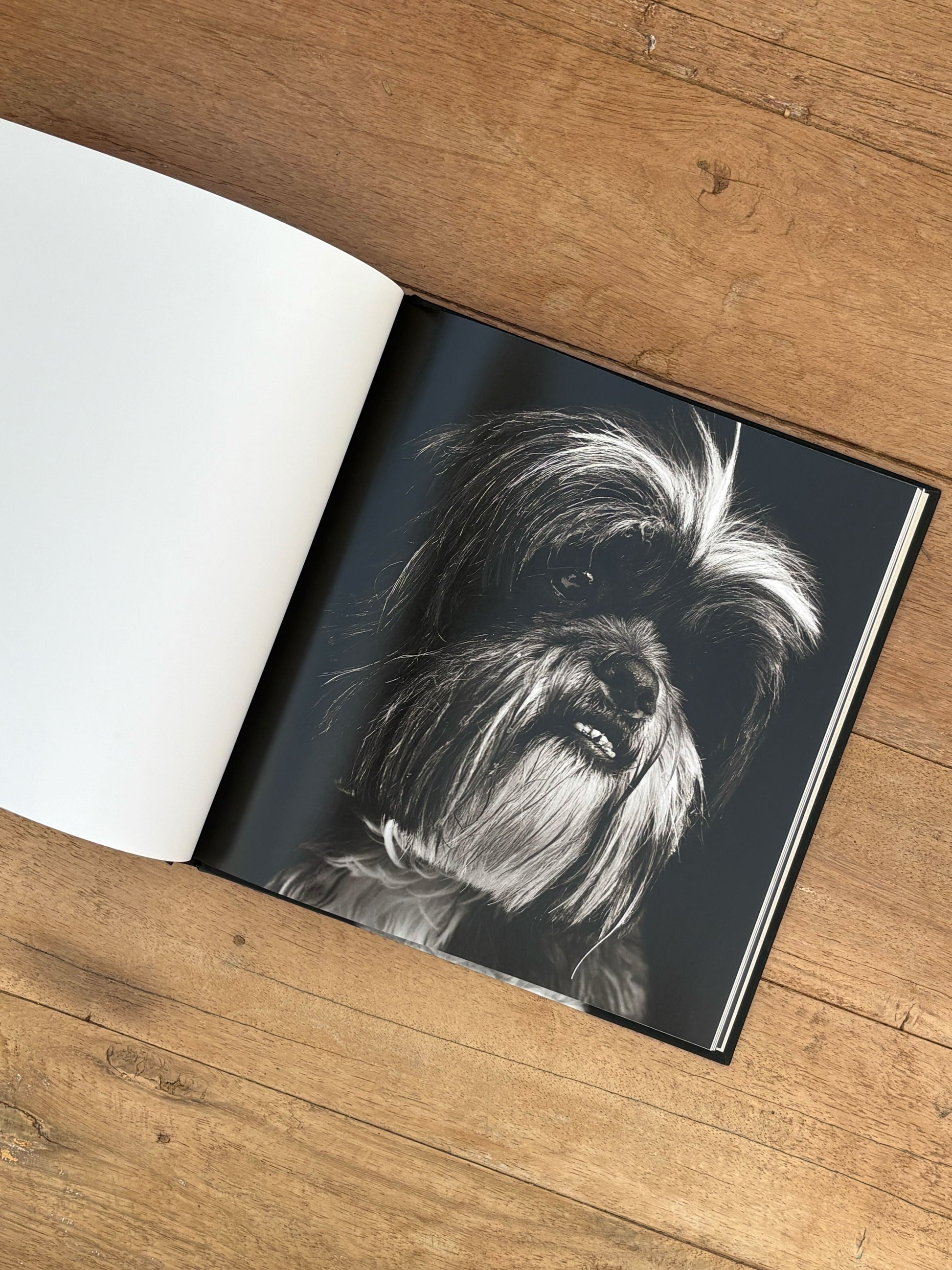 Book with a black and white dog illustration on a wooden surface