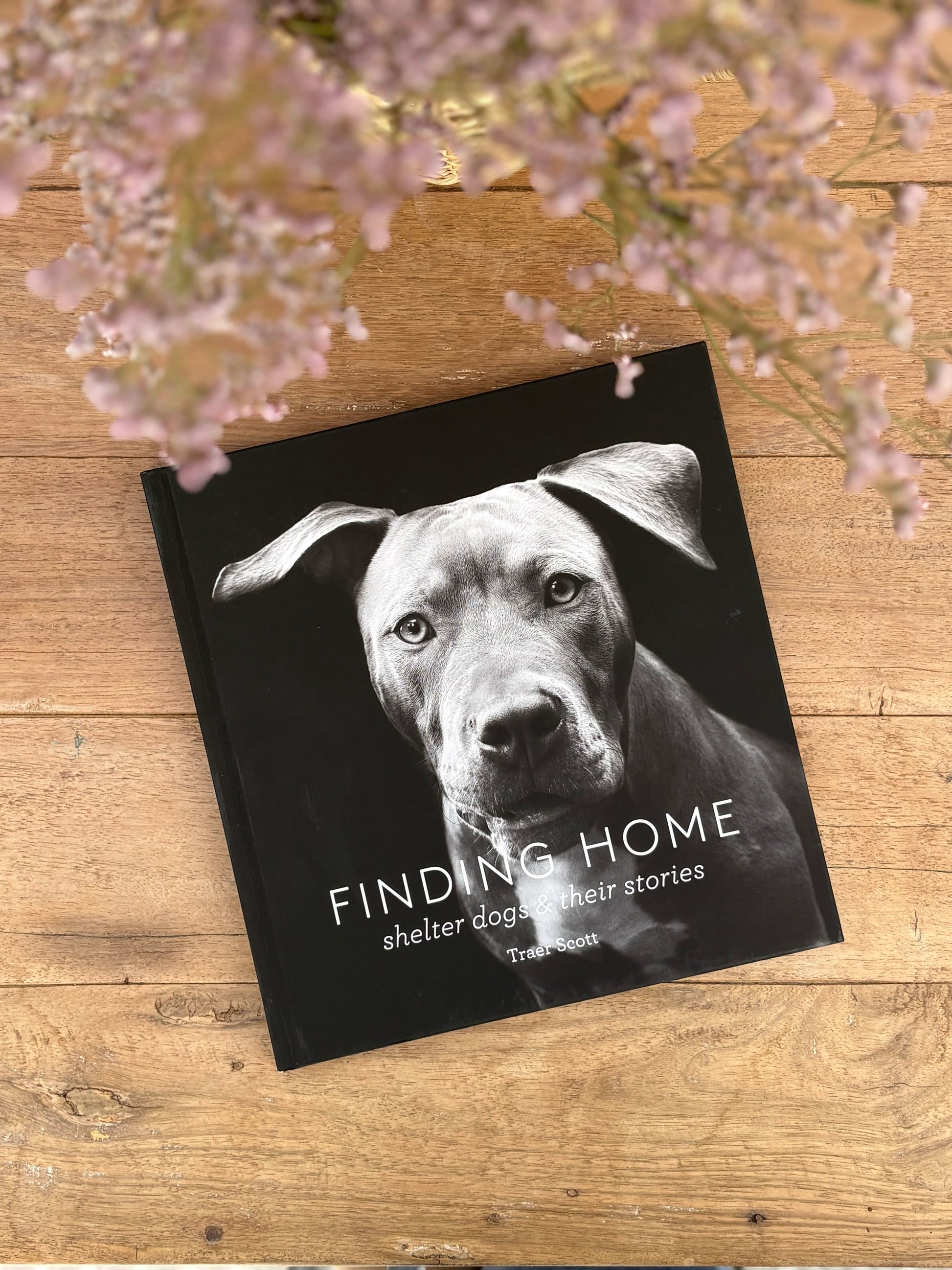 Book titled 'Finding Home: Shelter Dogs and Their Stories' on a wooden surface with flowers in the background