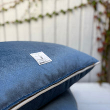 Load image into Gallery viewer, Quimby Velvet Pillow