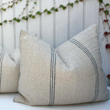Load image into Gallery viewer, Six Bandes Grain de Sac Pillow