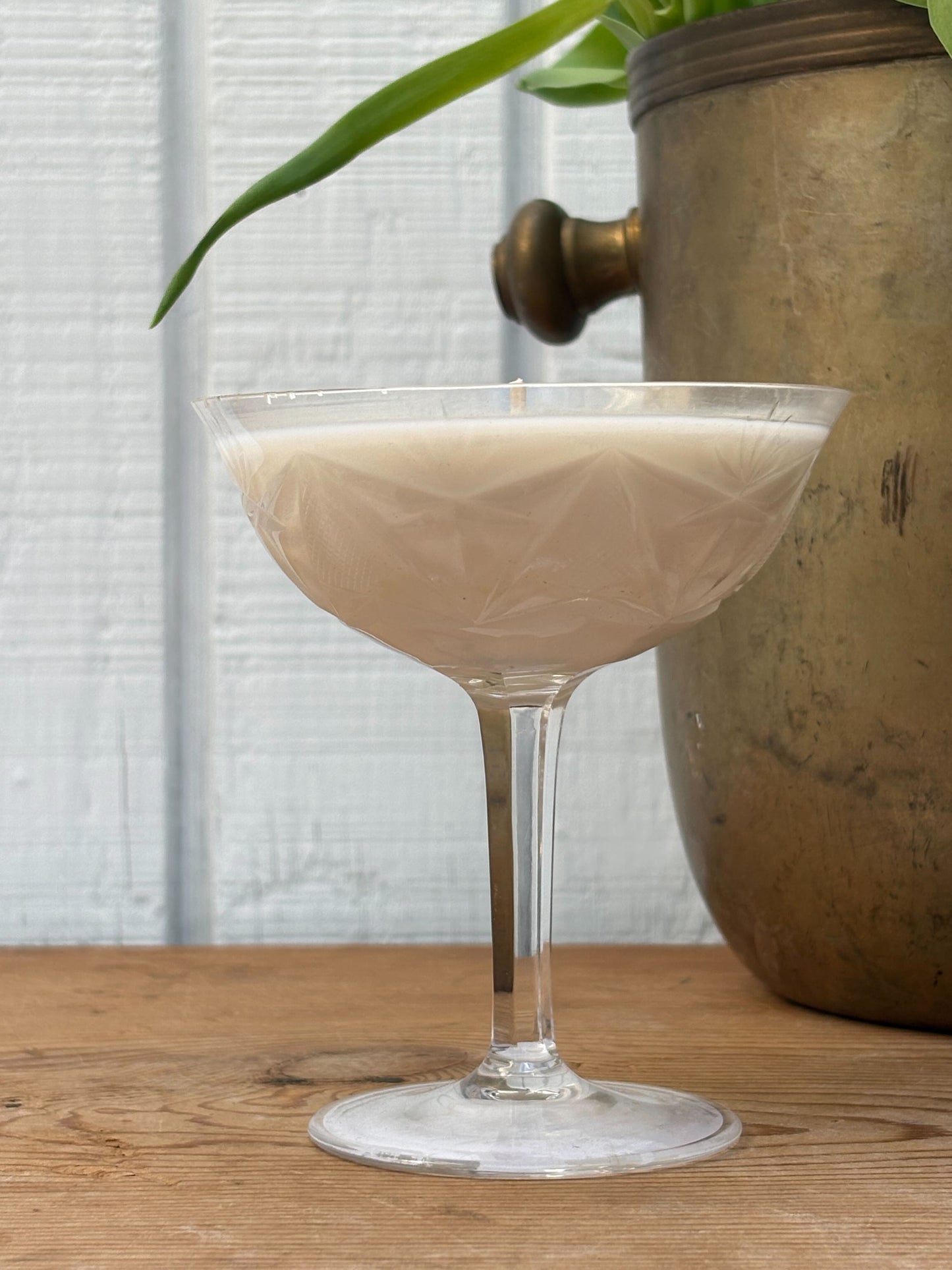 Cocktail in a glass with a plant in the background