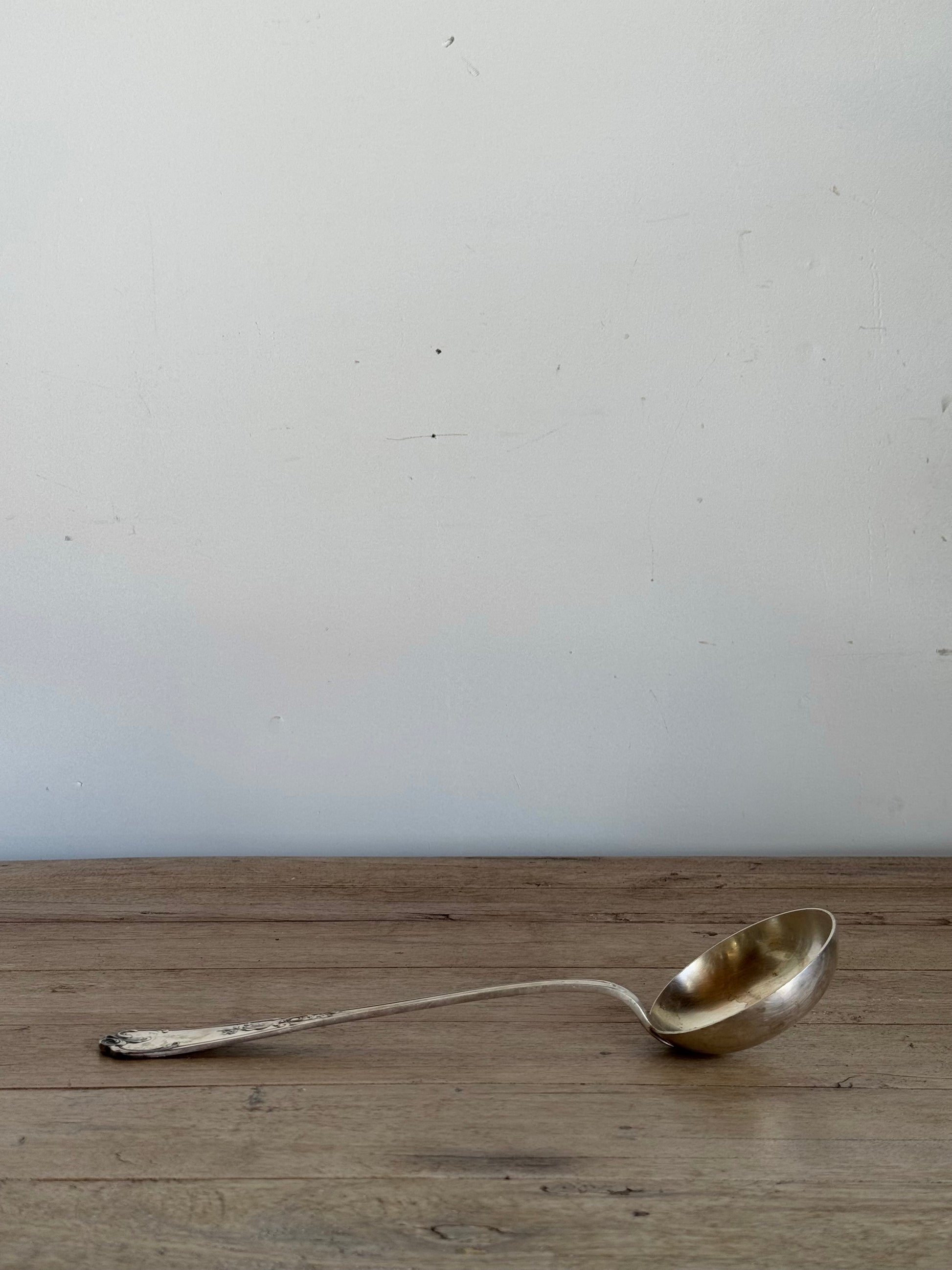 Metallic ladle on a wooden surface with a white background