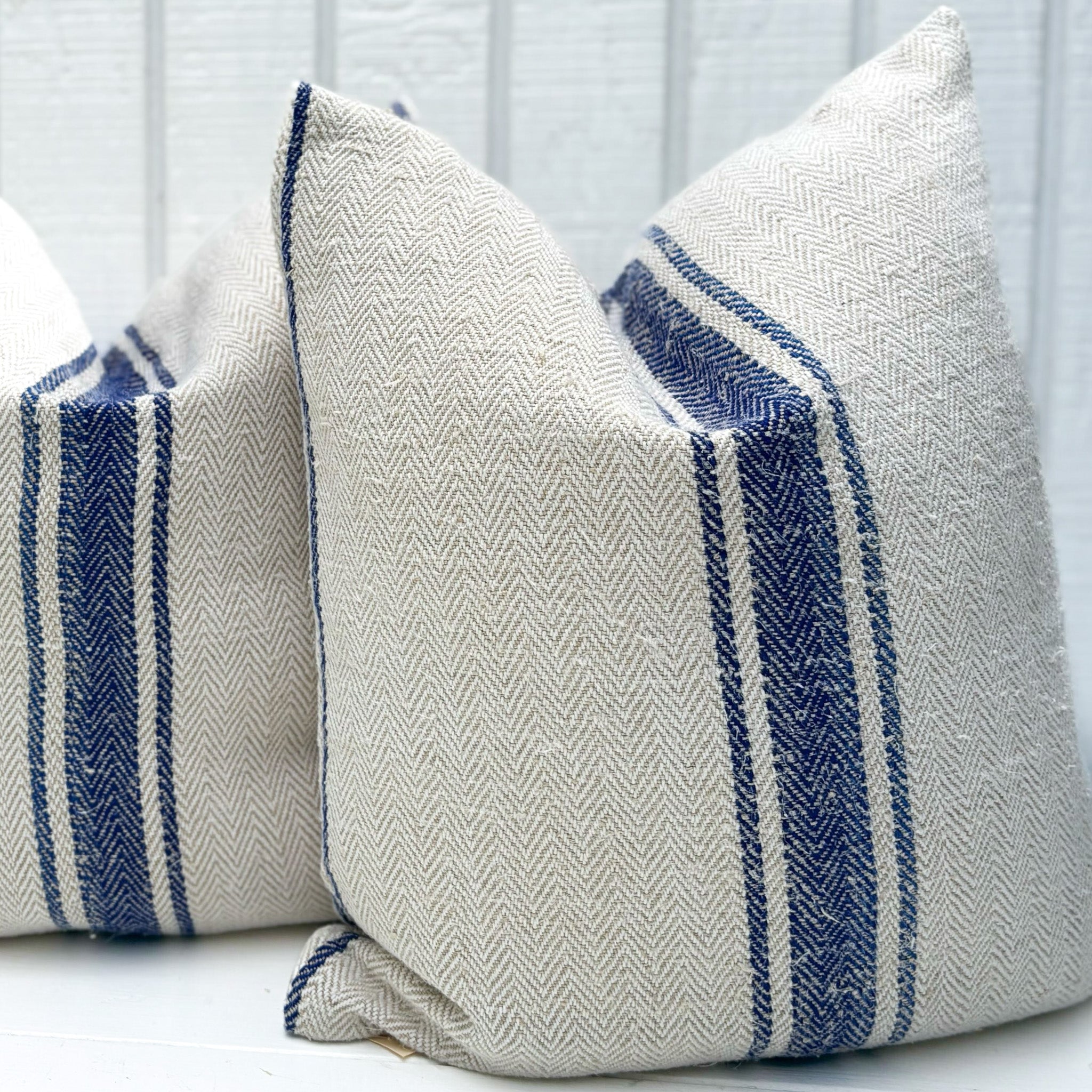 Bleue Grain Sac Pillow