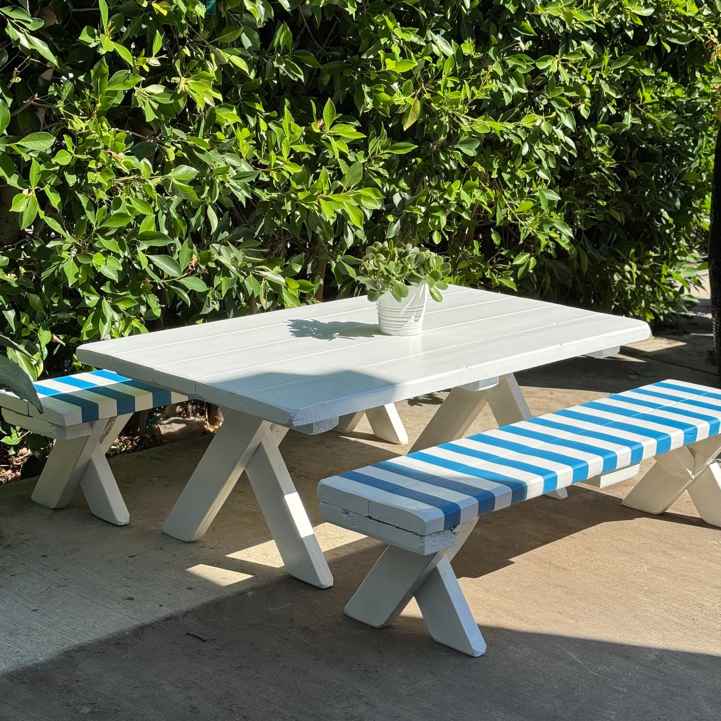 The Parton Collection