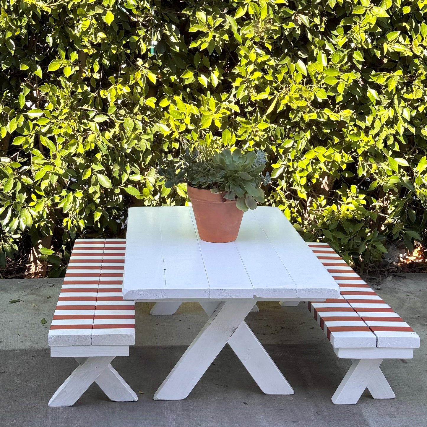 The Parton Collection