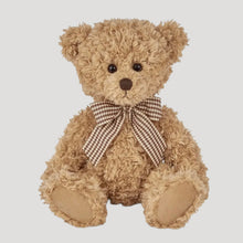 Load image into Gallery viewer, Theodore the Teddy Bear