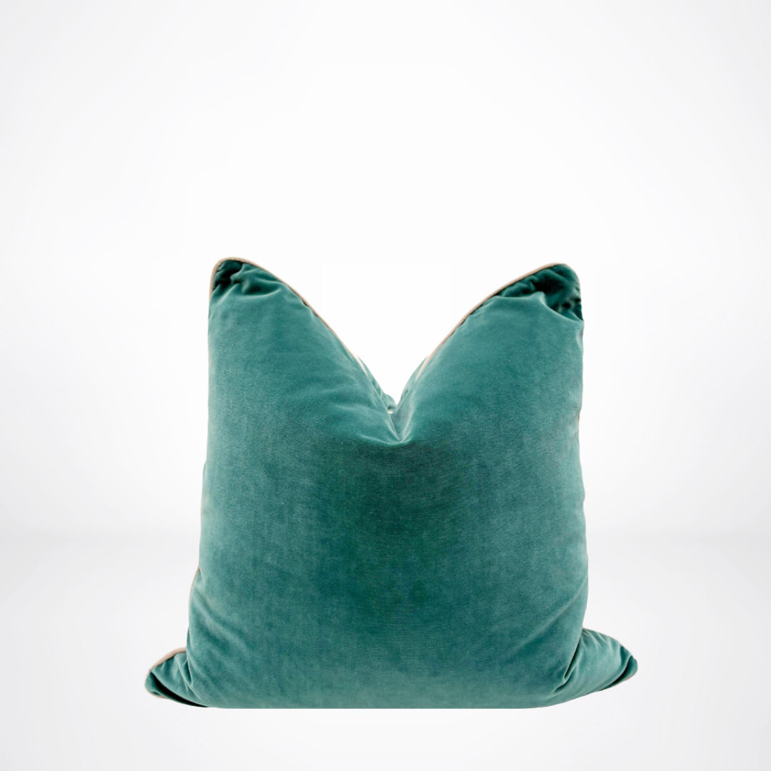 Sarcelle Velvet Pillow