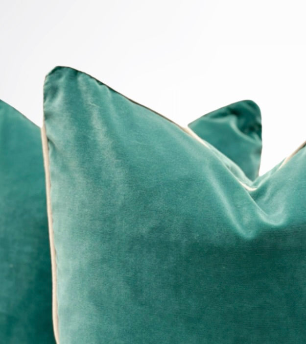 Sarcelle Velvet Pillow