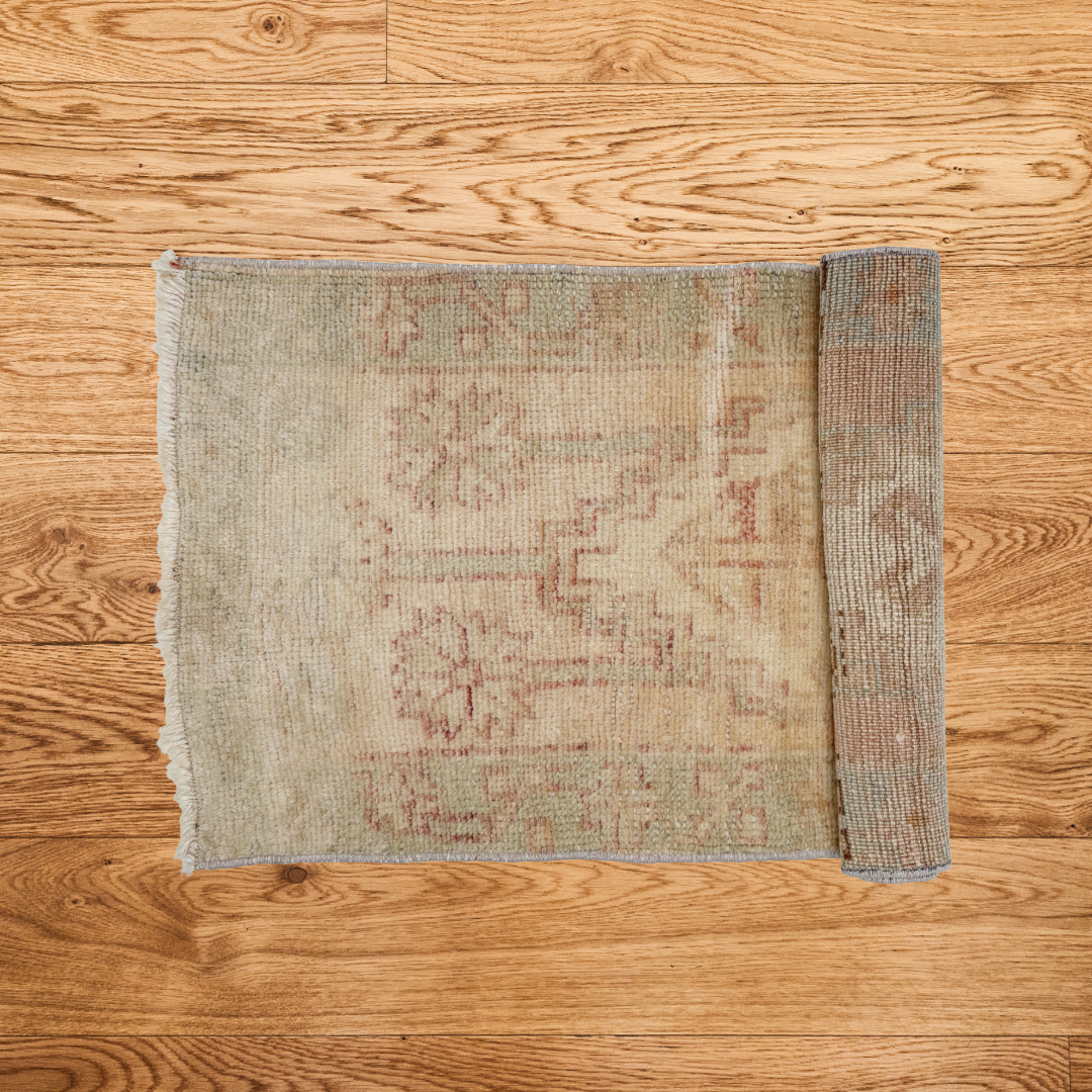 The Avaline Vintage Area Rug