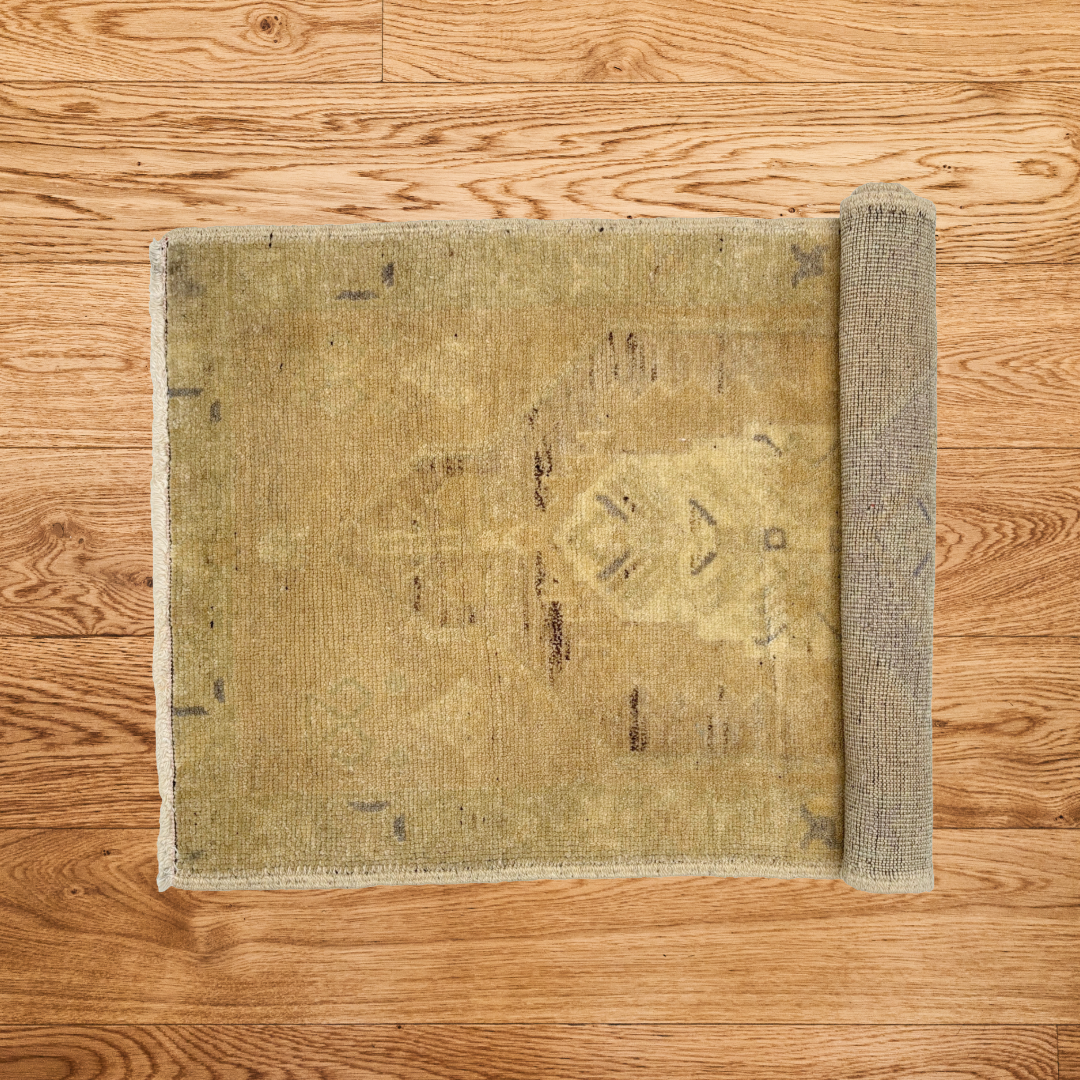 The Dunes Vintage Area Rug
