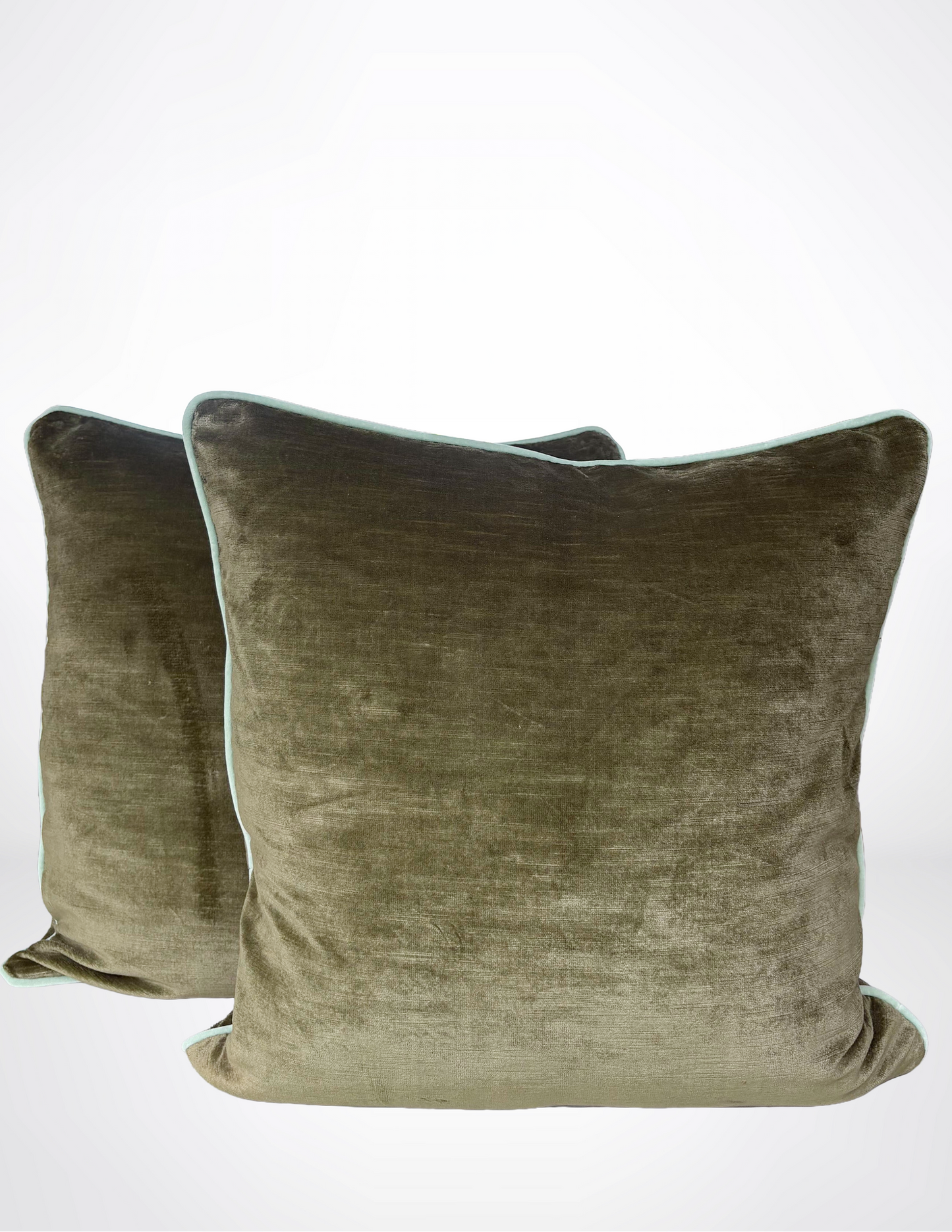 Fern Velvet Pillow
