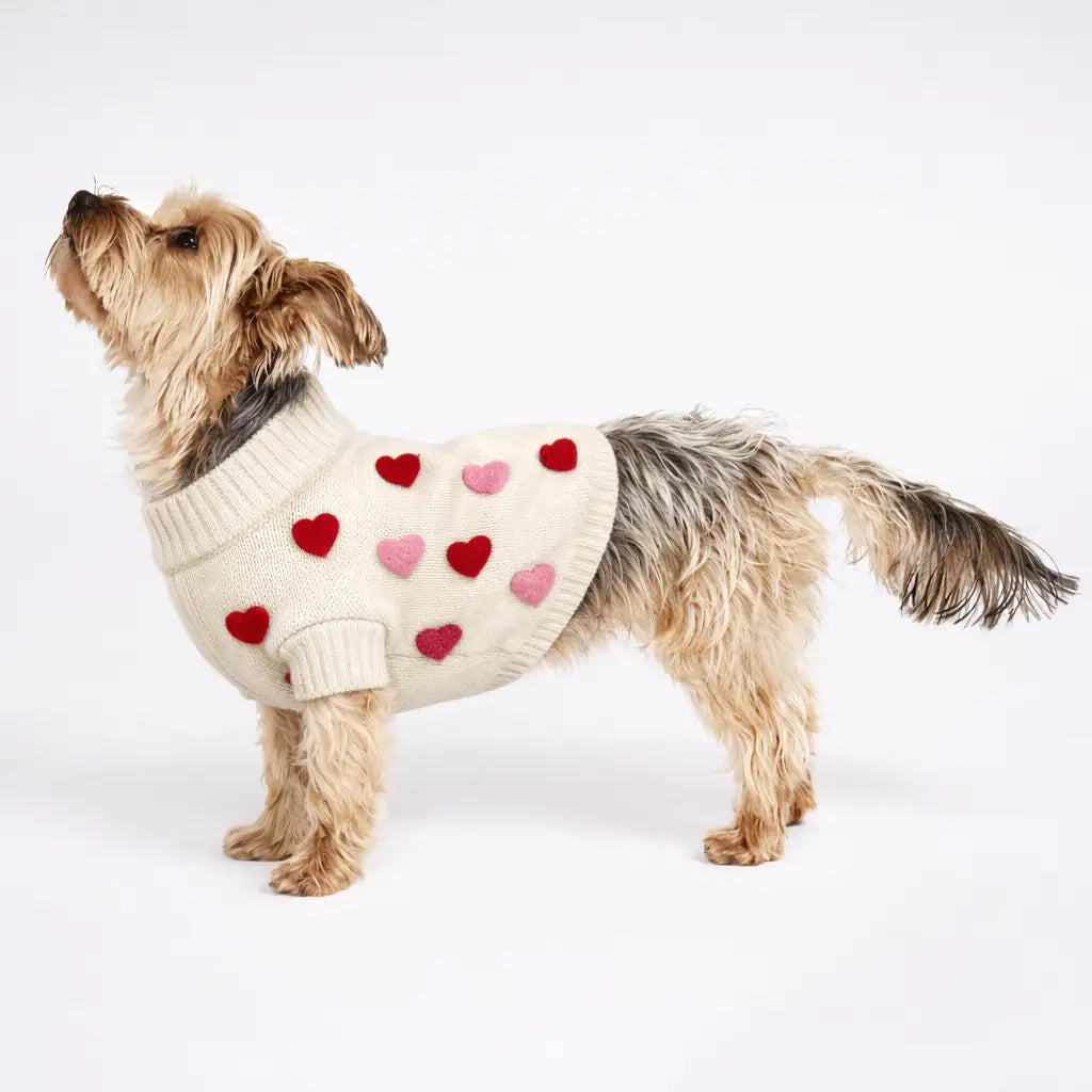 Pet Cream Heart Sweater