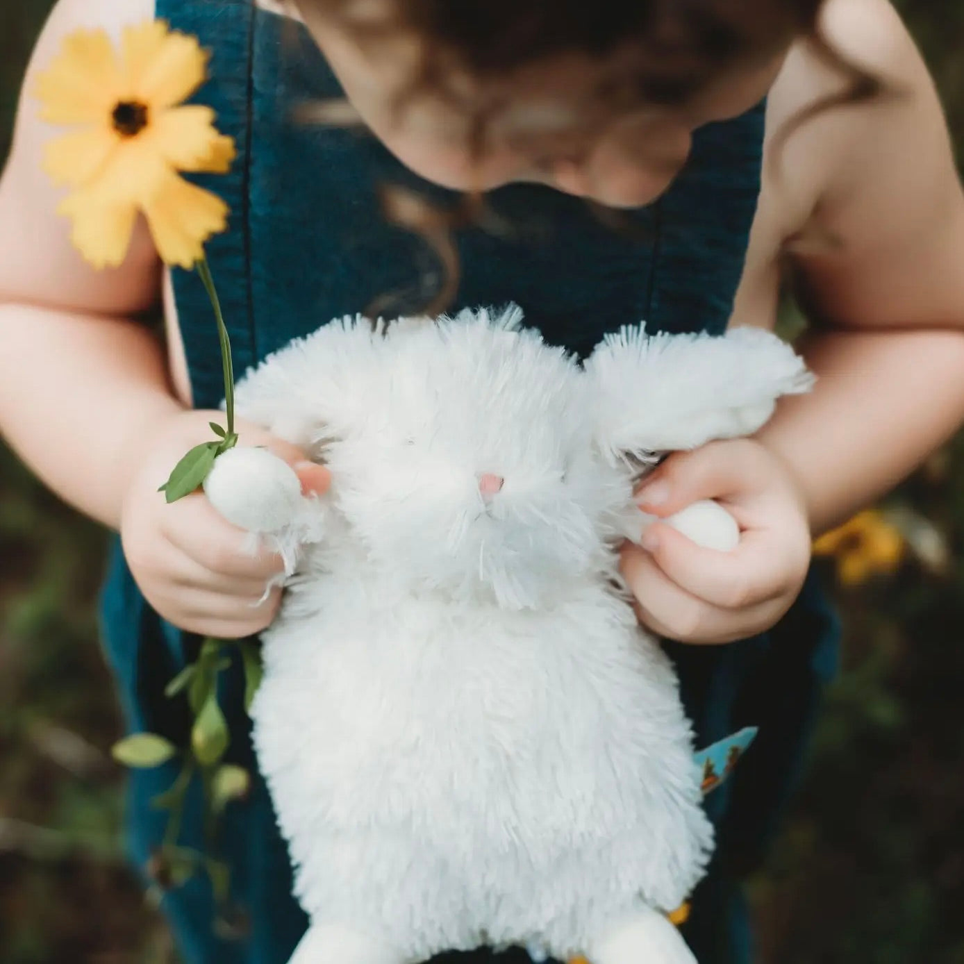 Ittybit Bunny