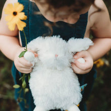 Load image into Gallery viewer, Ittybit Bunny