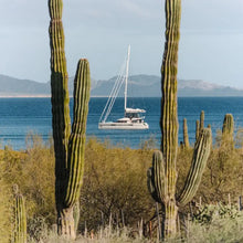 Load image into Gallery viewer, Sailing boat on a body of water with cacti in the foreground