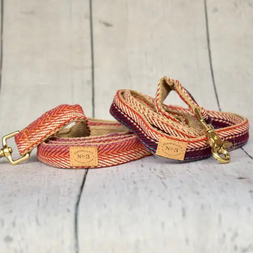 1" Tulum Baja Dog Lead