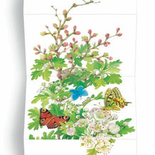 Load image into Gallery viewer, In The Garden Board Book