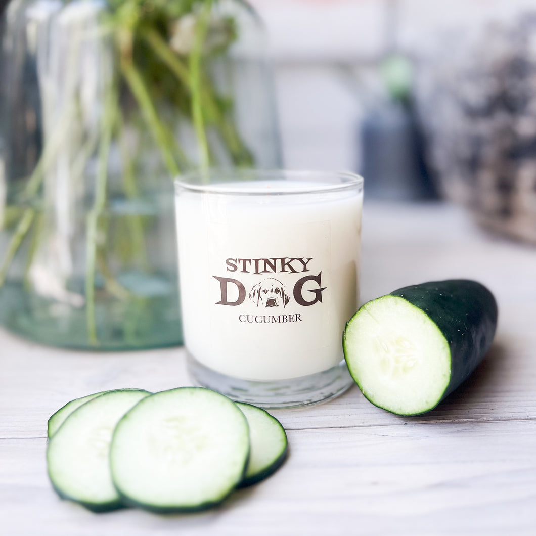 LAST CALL!Stinky Dog:Cucumber