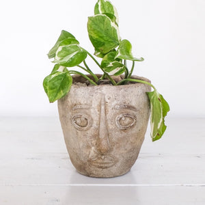 Ceramic planter of head styled after a work of Picasso