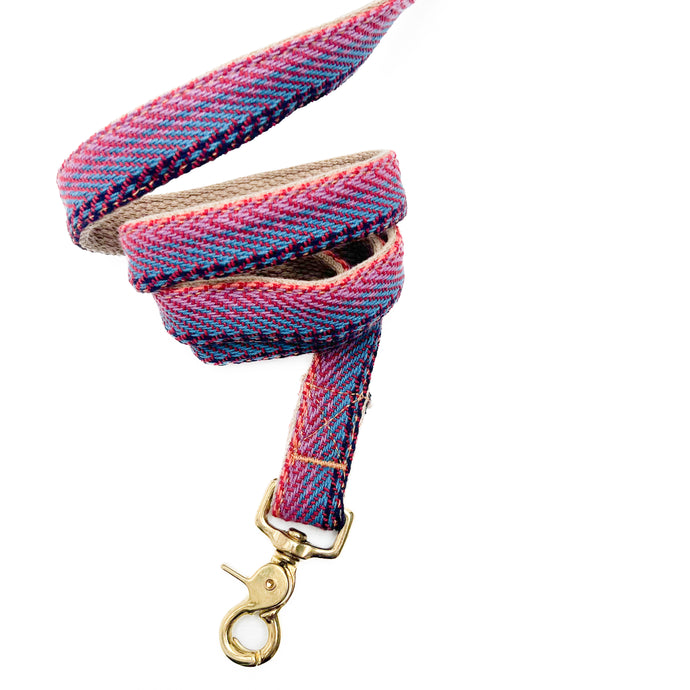 red, blue, orange multi colored cotton woven dog leash with brass hardware