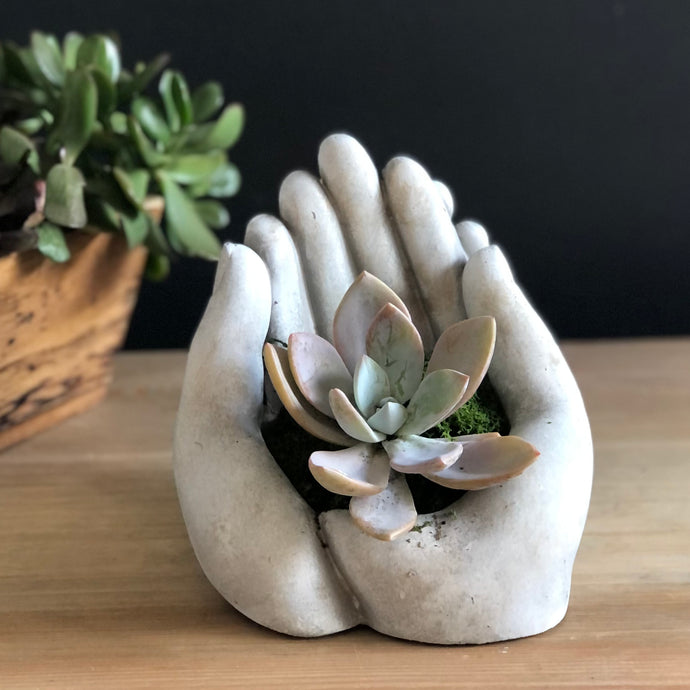 two stone hands together shaped as a bowl