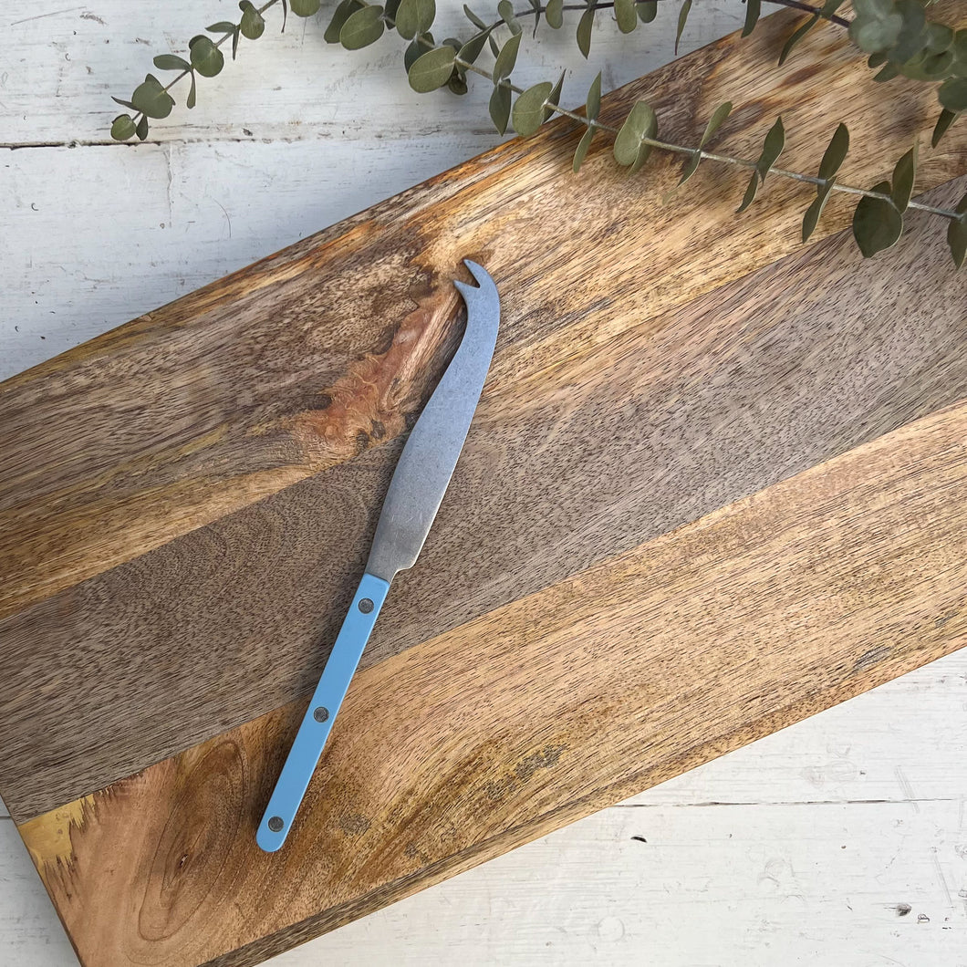 stainless steel cheese knife with light blue handle