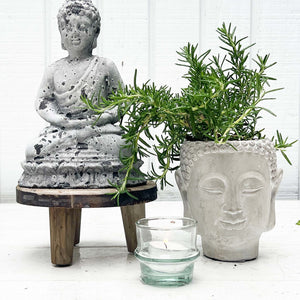 stone planter shaped like a Buddha head