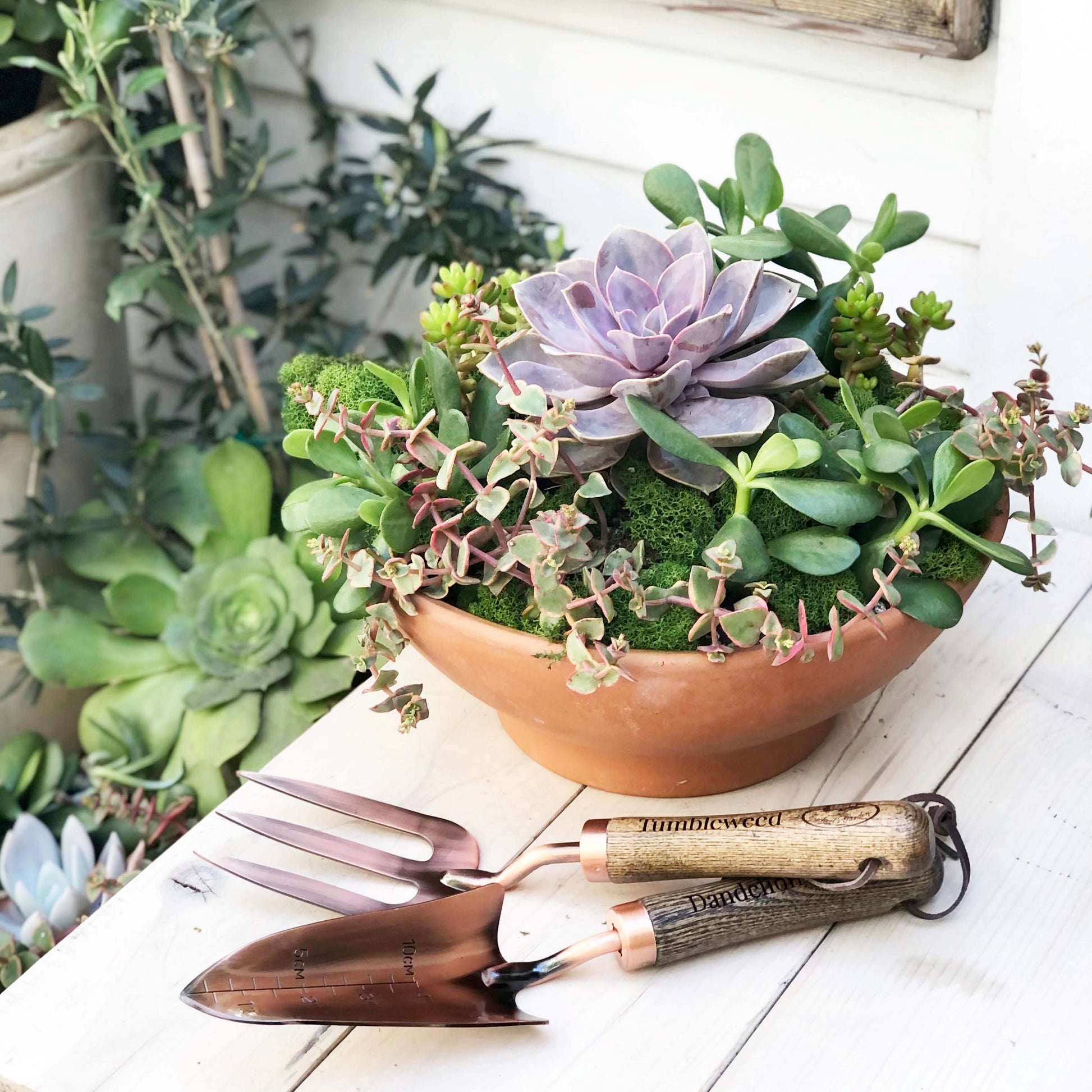 copper fork and trowel garden tool set with wooden handles imprinted with "Tumbleweed" on fork and "Dandelion" on the trowel