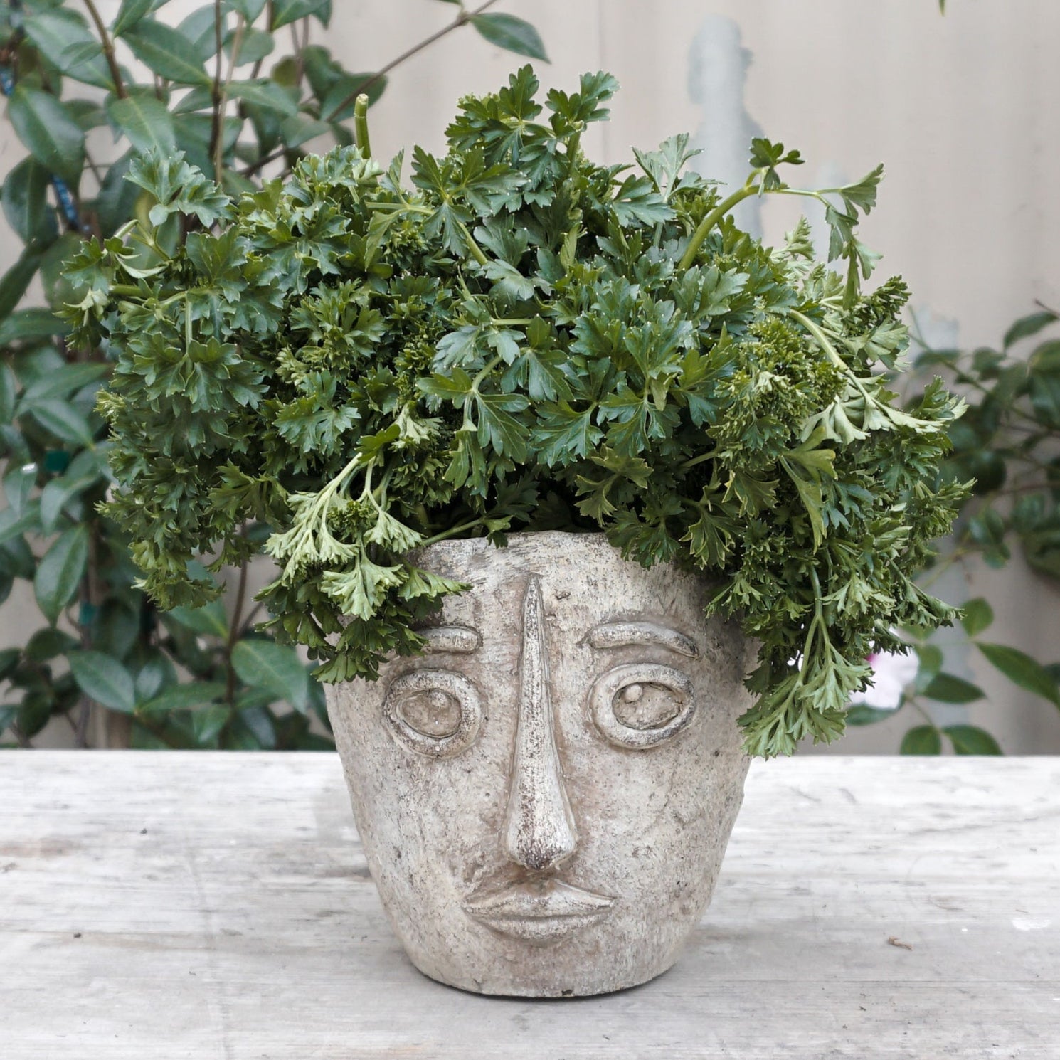 Ceramic planter of head styled after a work of Picasso