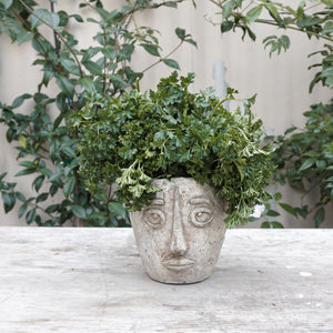 Ceramic planter of head styled after a work of Picasso